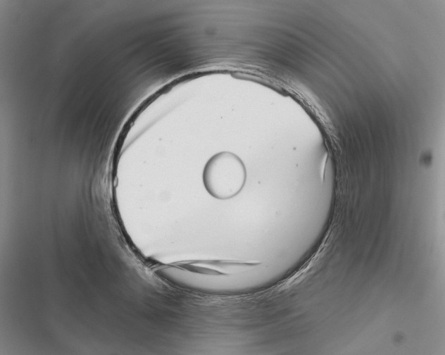 X0000116810892201001151141