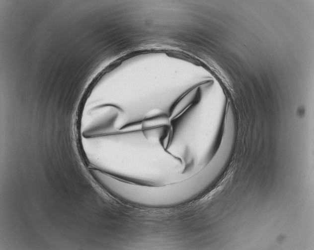 X0000116810893201001151141