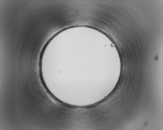 X0000116810894201001151141