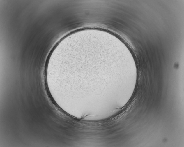 X0000116810895201001151141