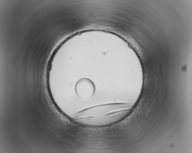 X0000116810896201001151141