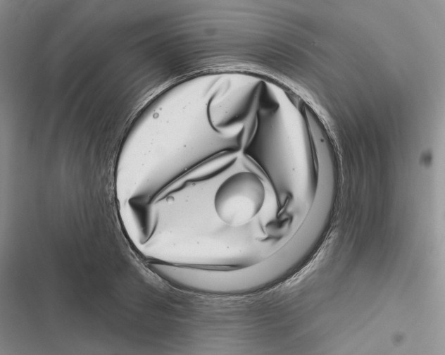 X0000116810897201001151141