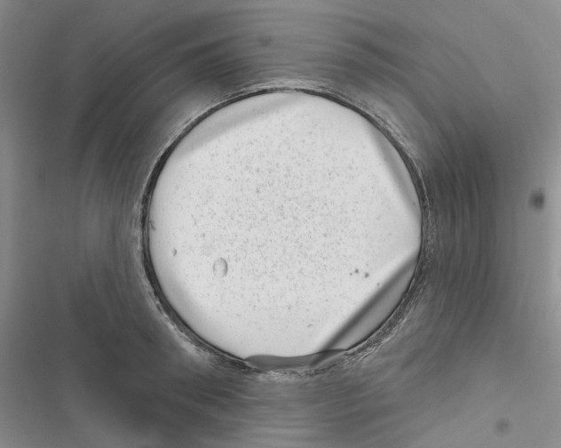 X0000116810898201001151141
