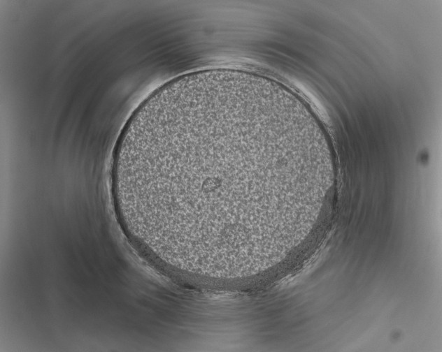 X0000116810899201001151141