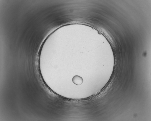 X0000116810900201001151141