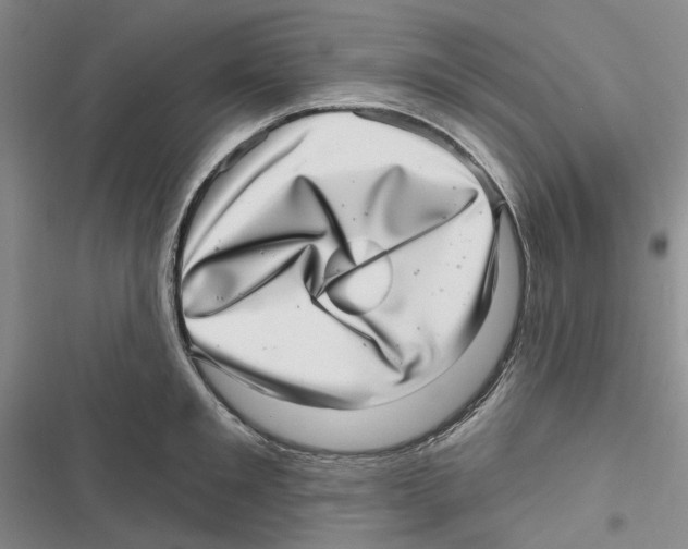 X0000116810901201001151141