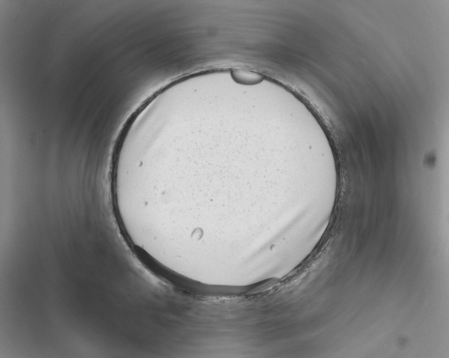 X0000116810902201001151141