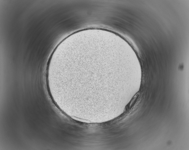 X0000116810903201001151141