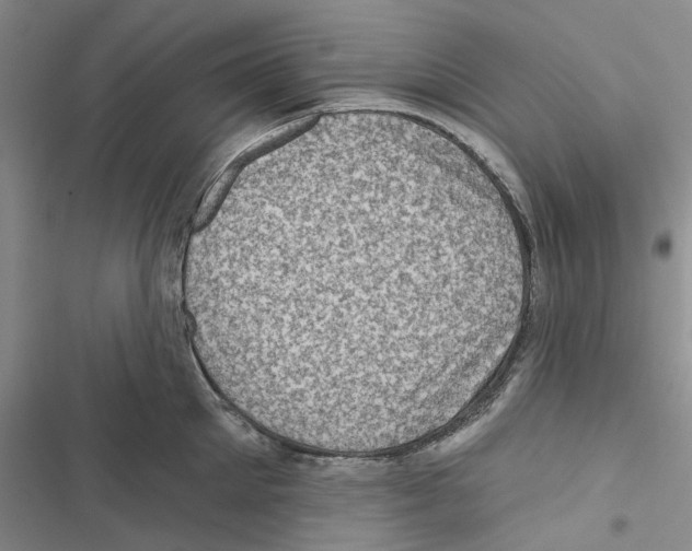 X0000116810905201001151141