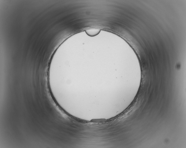 X0000116810906201001151141