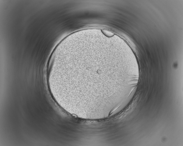 X0000116810907201001151141