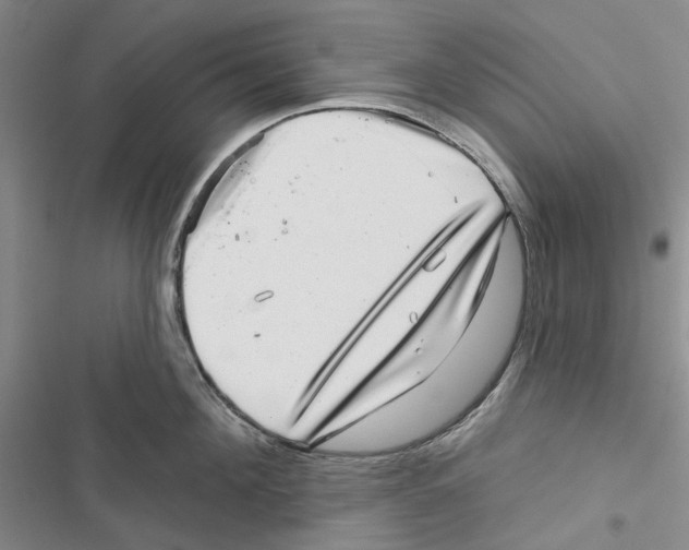 X0000116810908201001151141