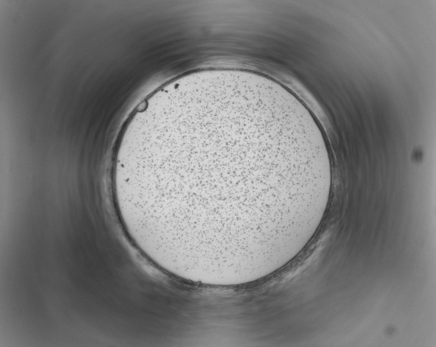 X0000116810909201001151141