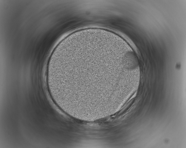 X0000116810911201001151141