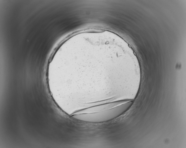 X0000116810912201001151141