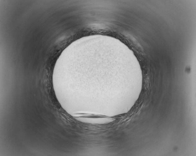 X0000116810917201001151140