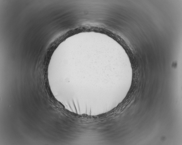 X0000116810919201001151140