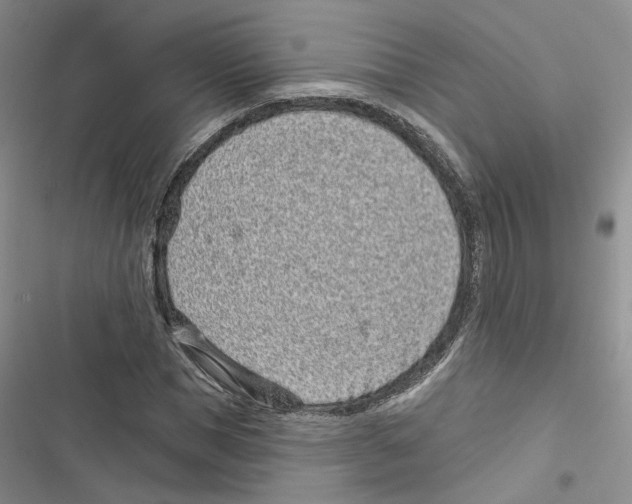 X0000116810921201001151140