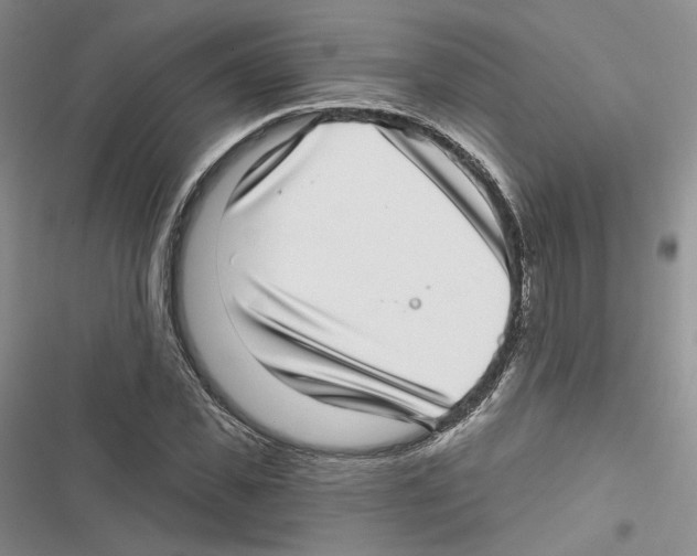X0000116810925201001151140