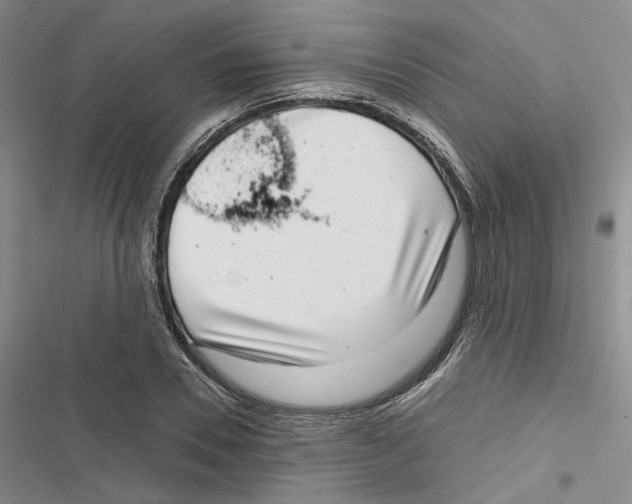 X0000116810930201001151141