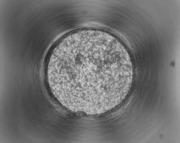 X0000116810931201001151141