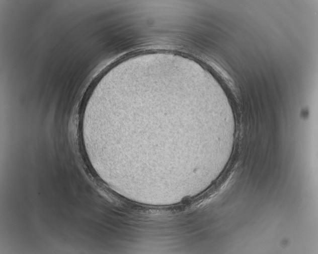 X0000116810933201001151141