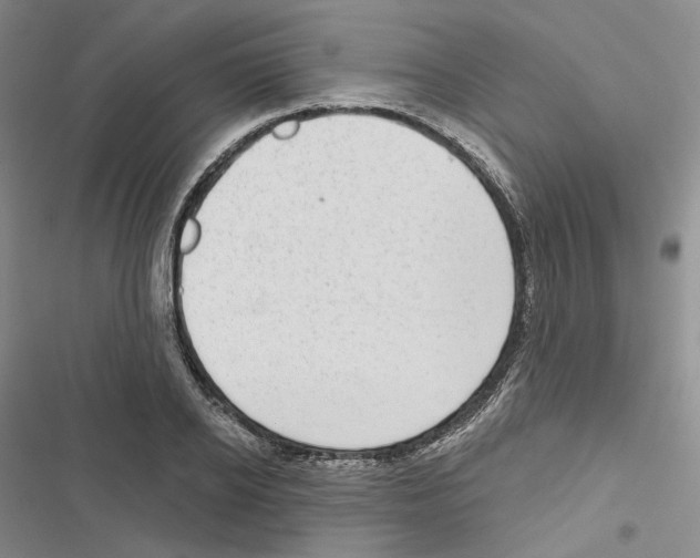 X0000116810934201001151141