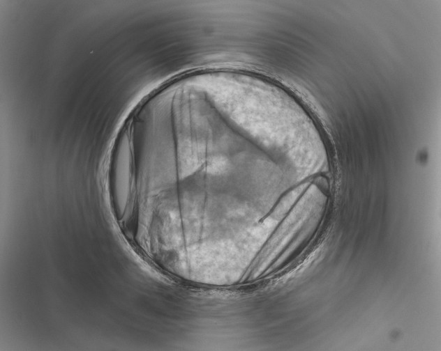 X0000116810941201001151141