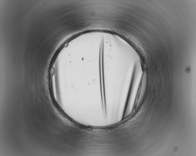 X0000116810942201001151141