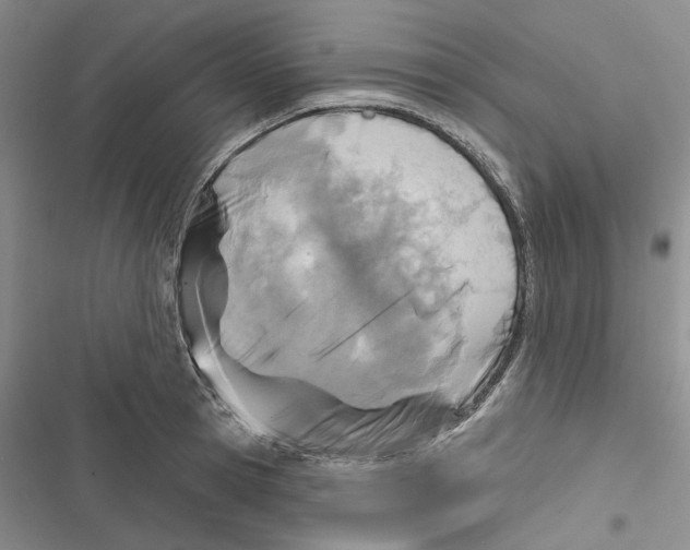 X0000116810945201001151141