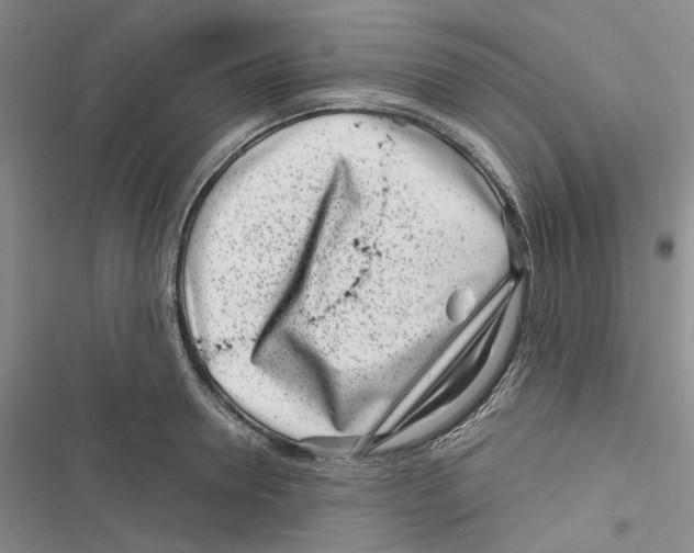 X0000116810946201001151141