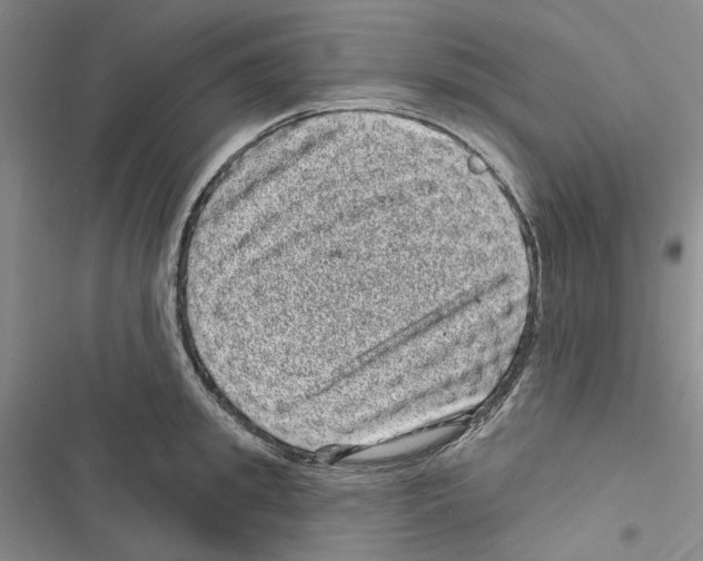 X0000116810949201001151141
