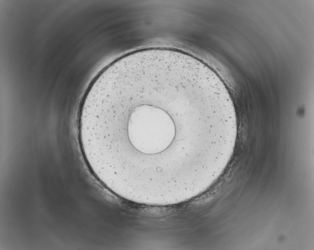 X0000116810950201001151141