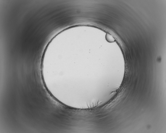 X0000116810951201001151141