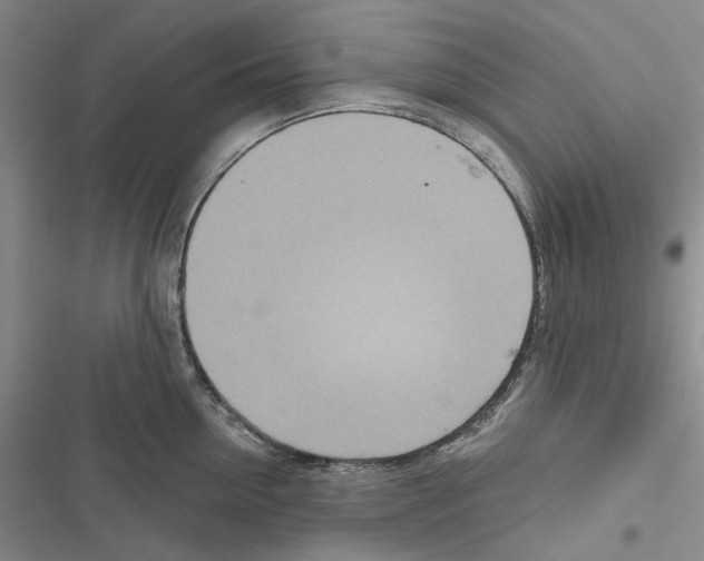 X0000116810954201001151141