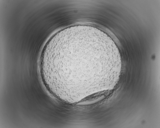 X0000116810955201001151141