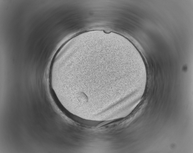 X0000116810957201001151141