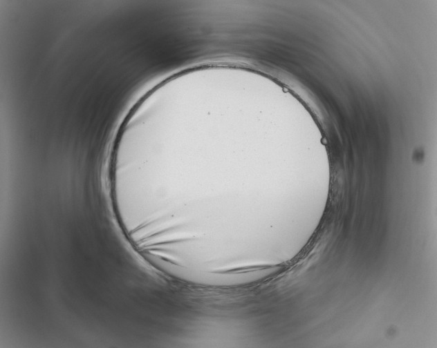 X0000116810959201001151141