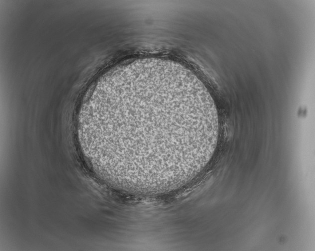 X0000116810961201001151140