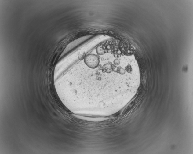 X0000116810964201001151140