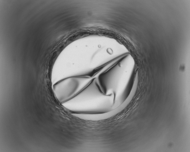 X0000116810965201001151140