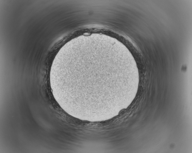 X0000116810967201001151140