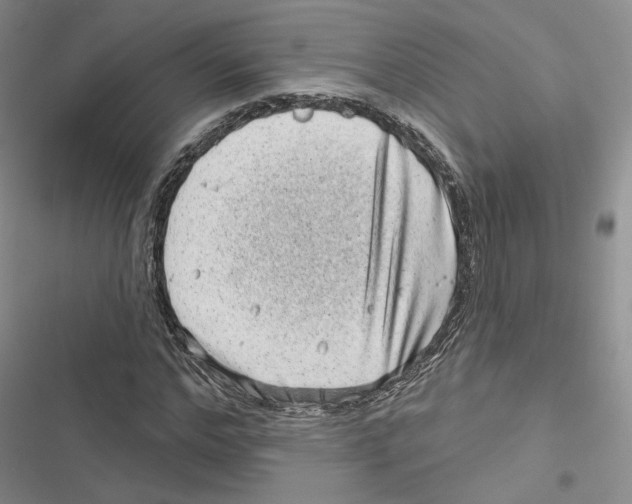 X0000116810968201001151140