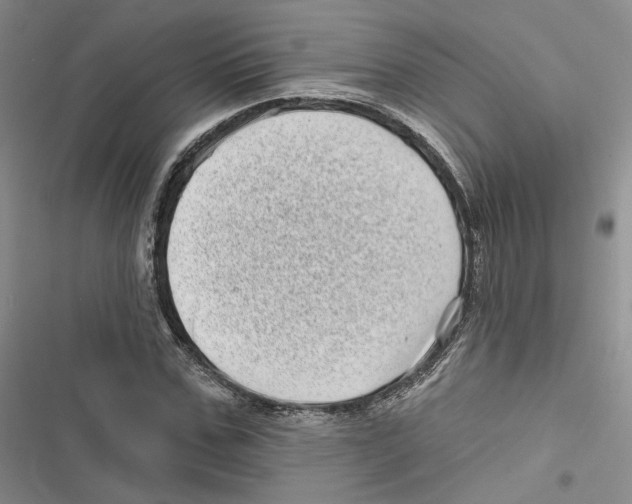 X0000116810971201001151140