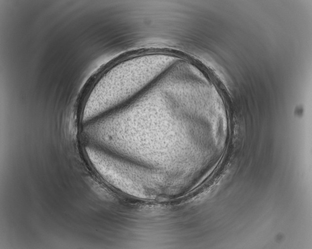 X0000116810973201001151140