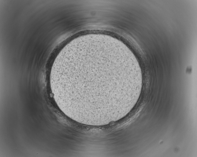 X0000116810974201001151140