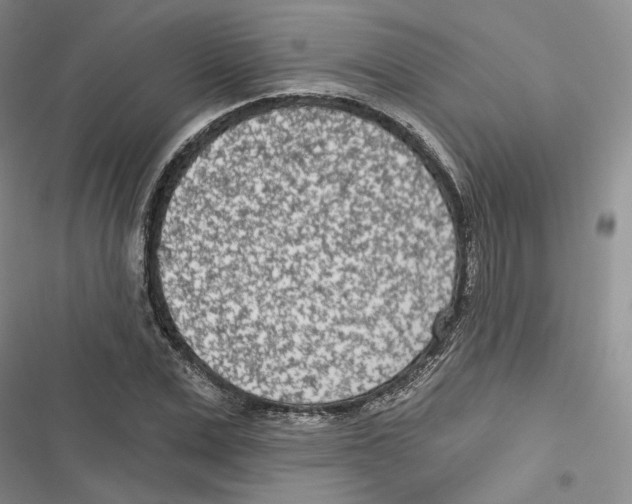 X0000116810975201001151140