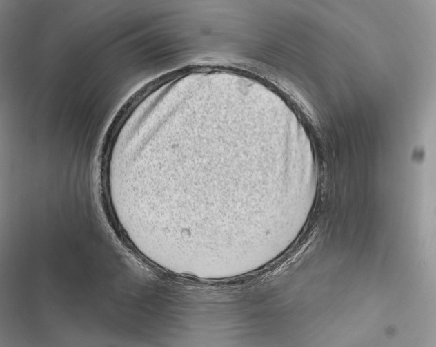 X0000116810976201001151140
