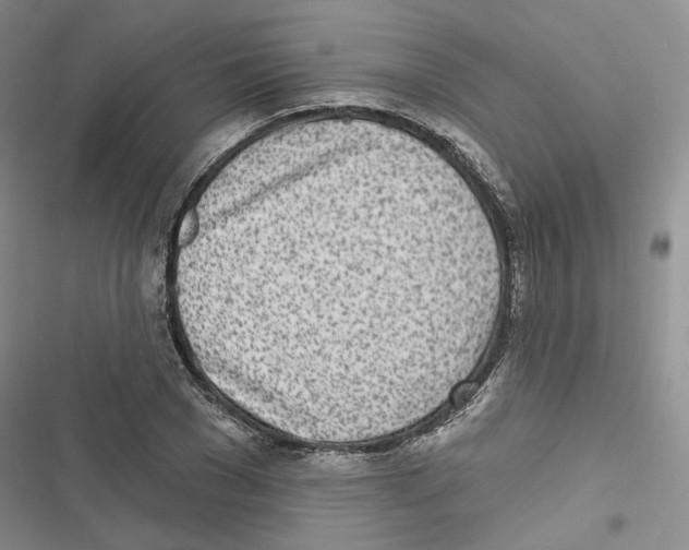 X0000116810977201001151140
