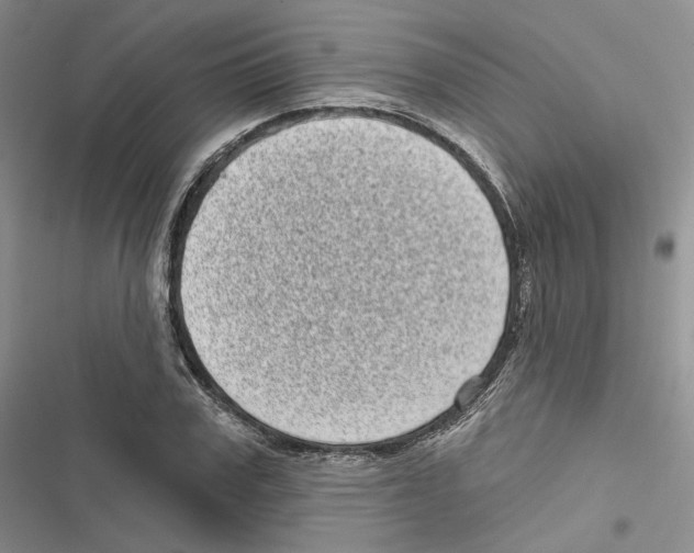 X0000116810979201001151140